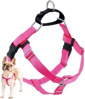 2 Hounds Design Freedom No Pull Dog Harness, Adjustable Harness, Easy Walking & Comfortable Control, Fits Small, Medium & Large Dogs, Solid Colors, Made in USA, 1" MD, Hot Pink