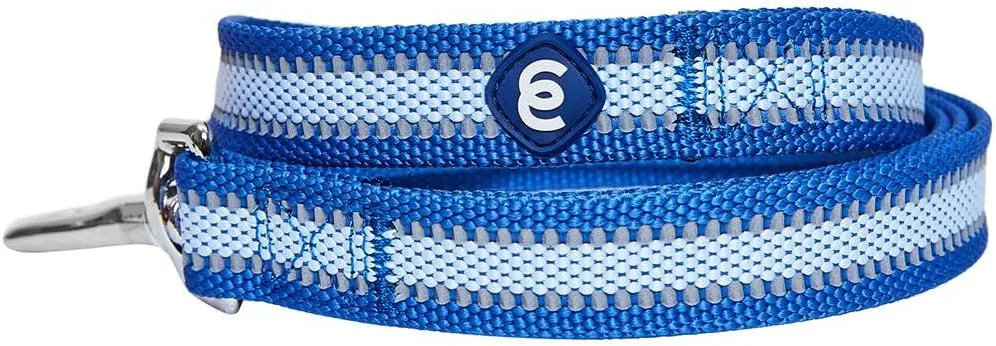 Blueberry Pet Essentials Reflective Dog Leash, Puppy Essentials, Gentle Leader for Dogs, Navy Blue, 5 ft x 5/8 in, Dog Leash for Small Dogs, Durable & Easy Care for Active Pet Owners