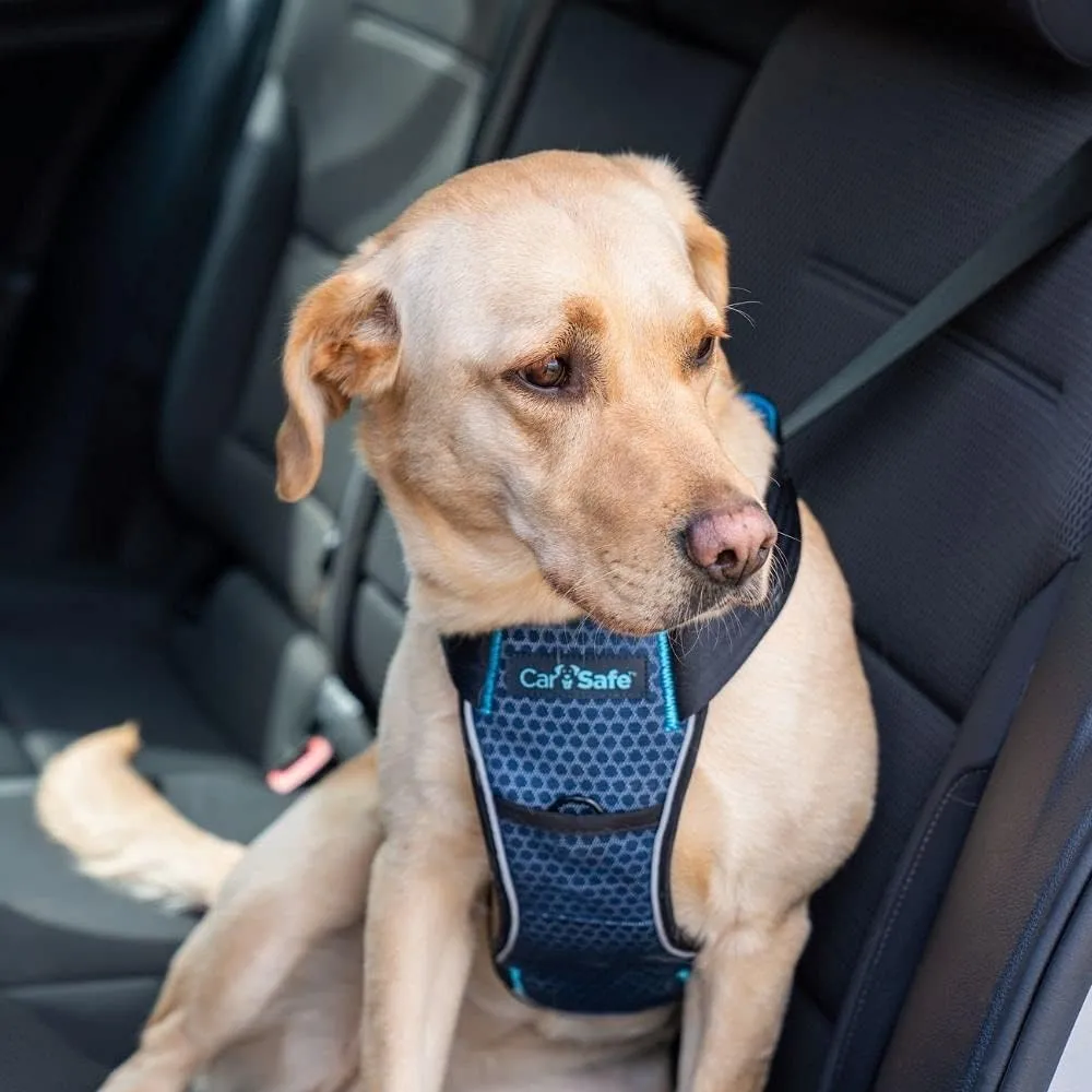 CarSafe Crash Tested Dog Safety Harness - Crash Tested to 32Kg/70lbs, Safely Secure Dog in The Car, Comfortable and Padded Design. for Toy, Small, Medium and Large Dogs (Size Large)