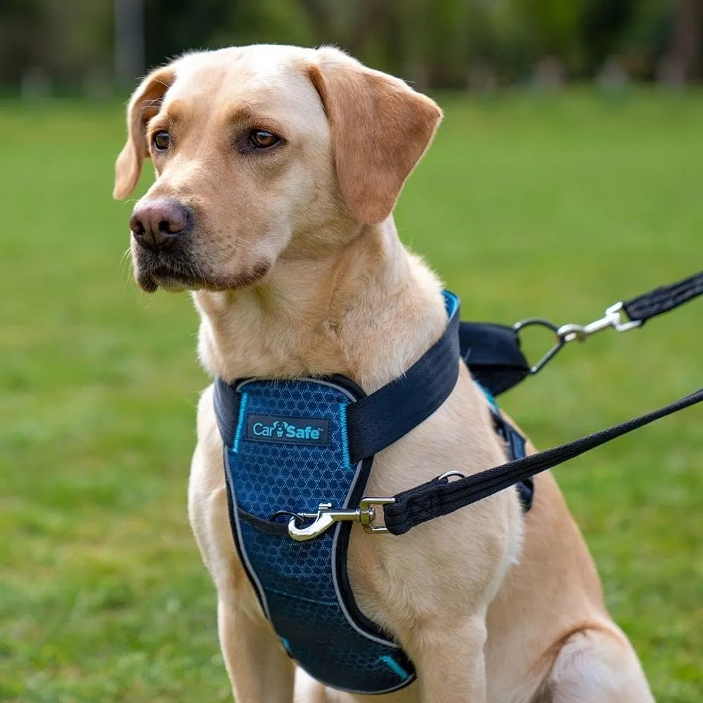 CarSafe Crash Tested Dog Safety Harness - Crash Tested to 32Kg/70lbs, Safely Secure Dog in The Car, Comfortable and Padded Design. for Toy, Small, Medium and Large Dogs (Size Large)