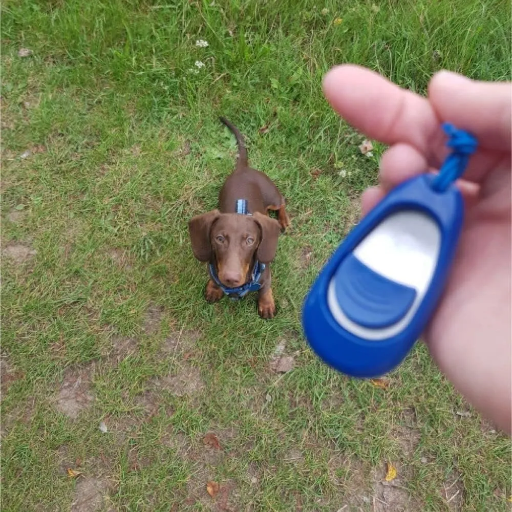 Company of Animals Multi-Clicker, Adjustable Volume, Loud and Quiet Clicks, Easy to Click, Wrist Strap, For all Dogs Including Sensitive Dogs and Puppies