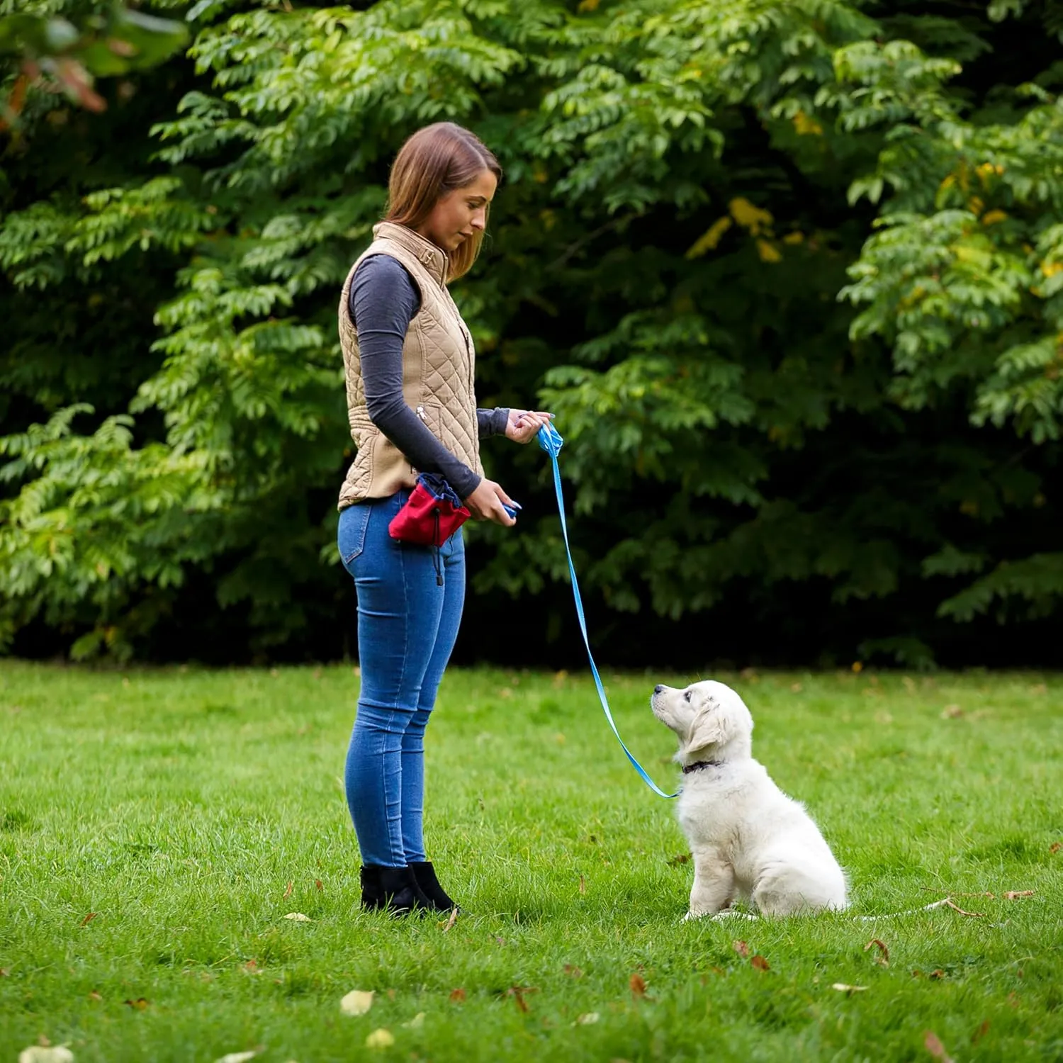 Company of Animals Multi-Clicker, Adjustable Volume, Loud and Quiet Clicks, Easy to Click, Wrist Strap, For all Dogs Including Sensitive Dogs and Puppies