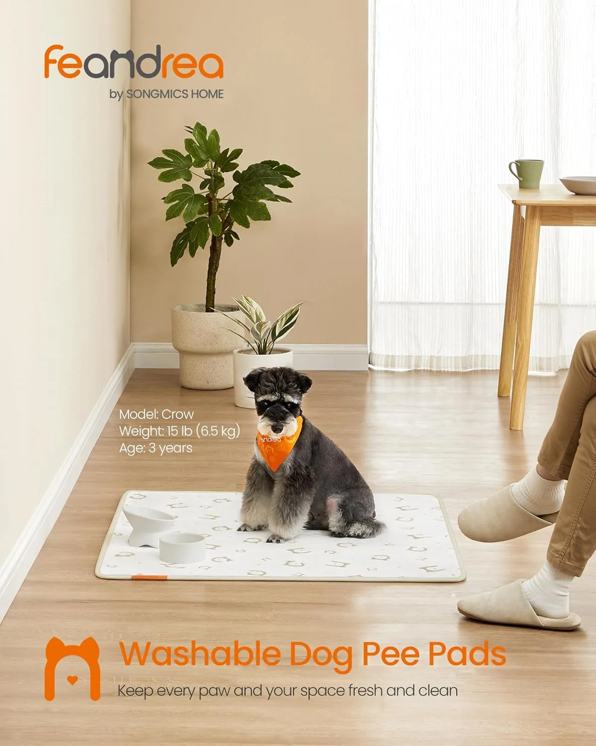 Feandrea Washable Pee Pads for Dogs, 2 Pack, Reusable, 36 x 34 Inches, M, Waterproof Pet Training, Leakproof, Non-Slip, Super Absorbent, for Dogs, Cats, Rabbits, Cloud White UPTD002W01