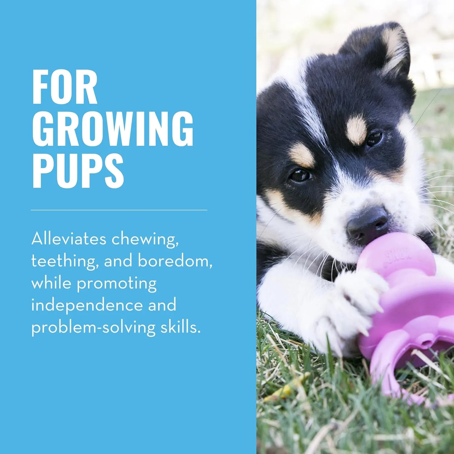 KONG Puppy Binkie - Pacifier Dog Toy for Puppies - Stuffable Treat Chew Toy for Treats - Durable Natural Rubber for Teething Puppy - for Small Puppies - Pink
