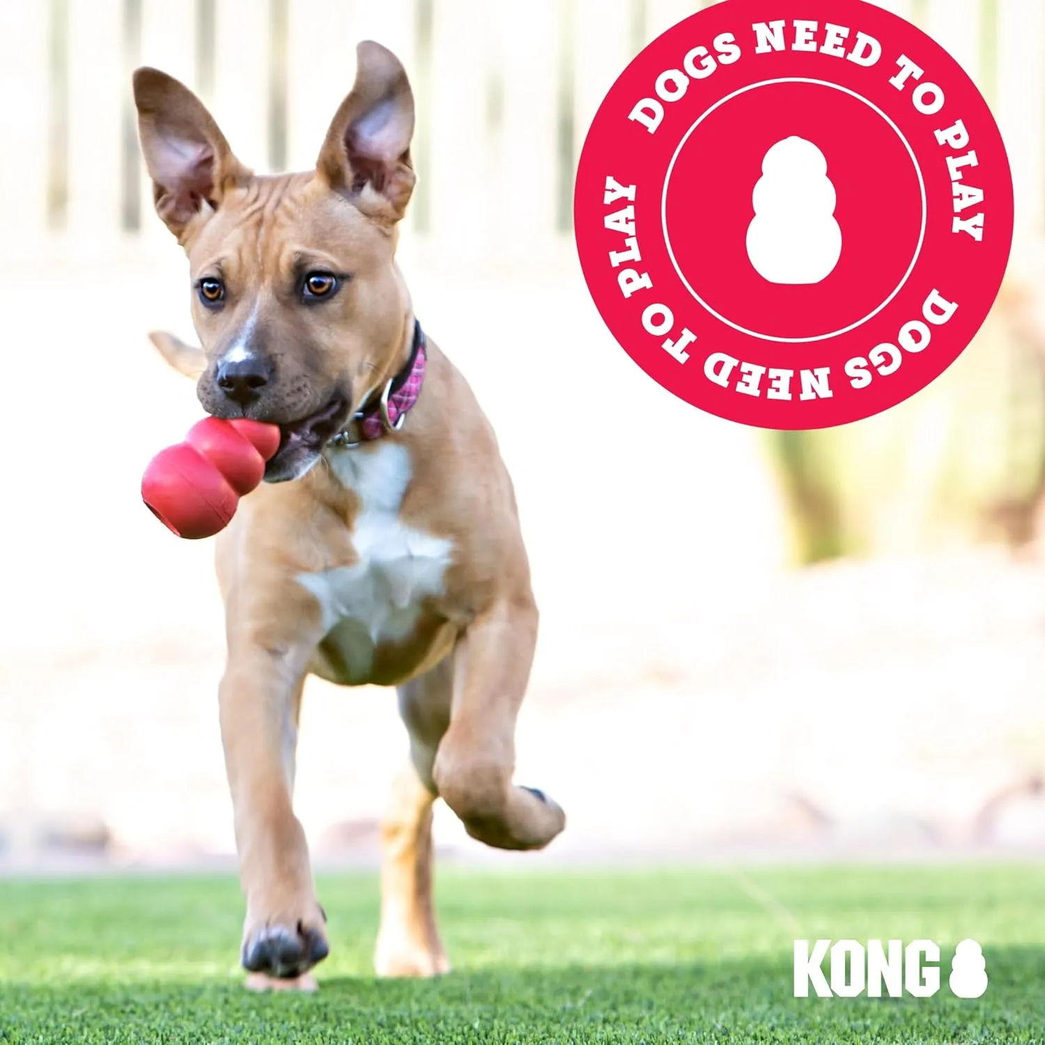 KONG Puppy Binkie - Pacifier Dog Toy for Puppies - Stuffable Treat Chew Toy for Treats - Durable Natural Rubber for Teething Puppy - for Small Puppies - Pink
