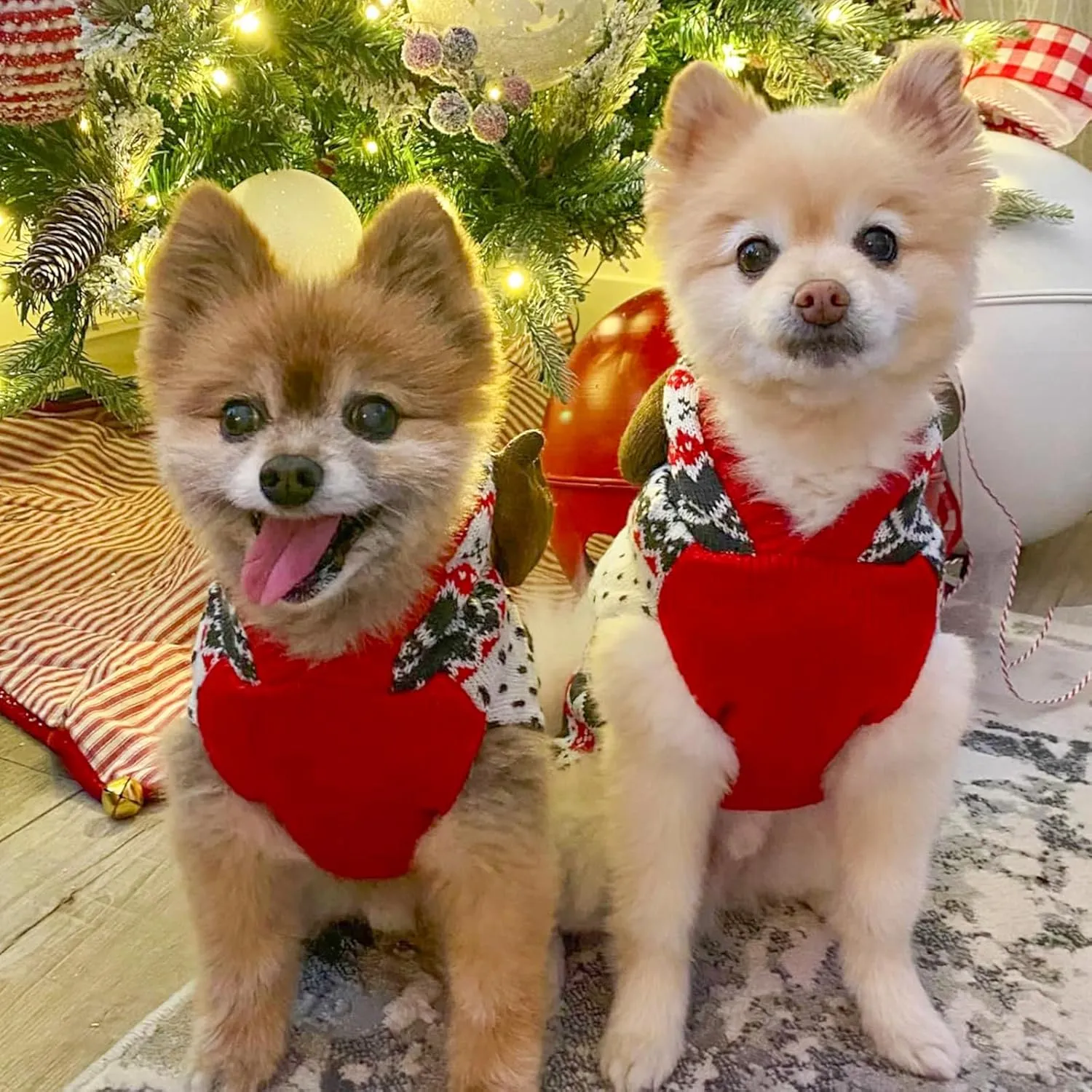 KYEESE Dog Christmas Sweater Hoodie Reindeer Red Dogs Knitwear Pullover Small Pet Sweater Dog Christmas Outfit with Leash Hole Ugly Pet Sweater, S
