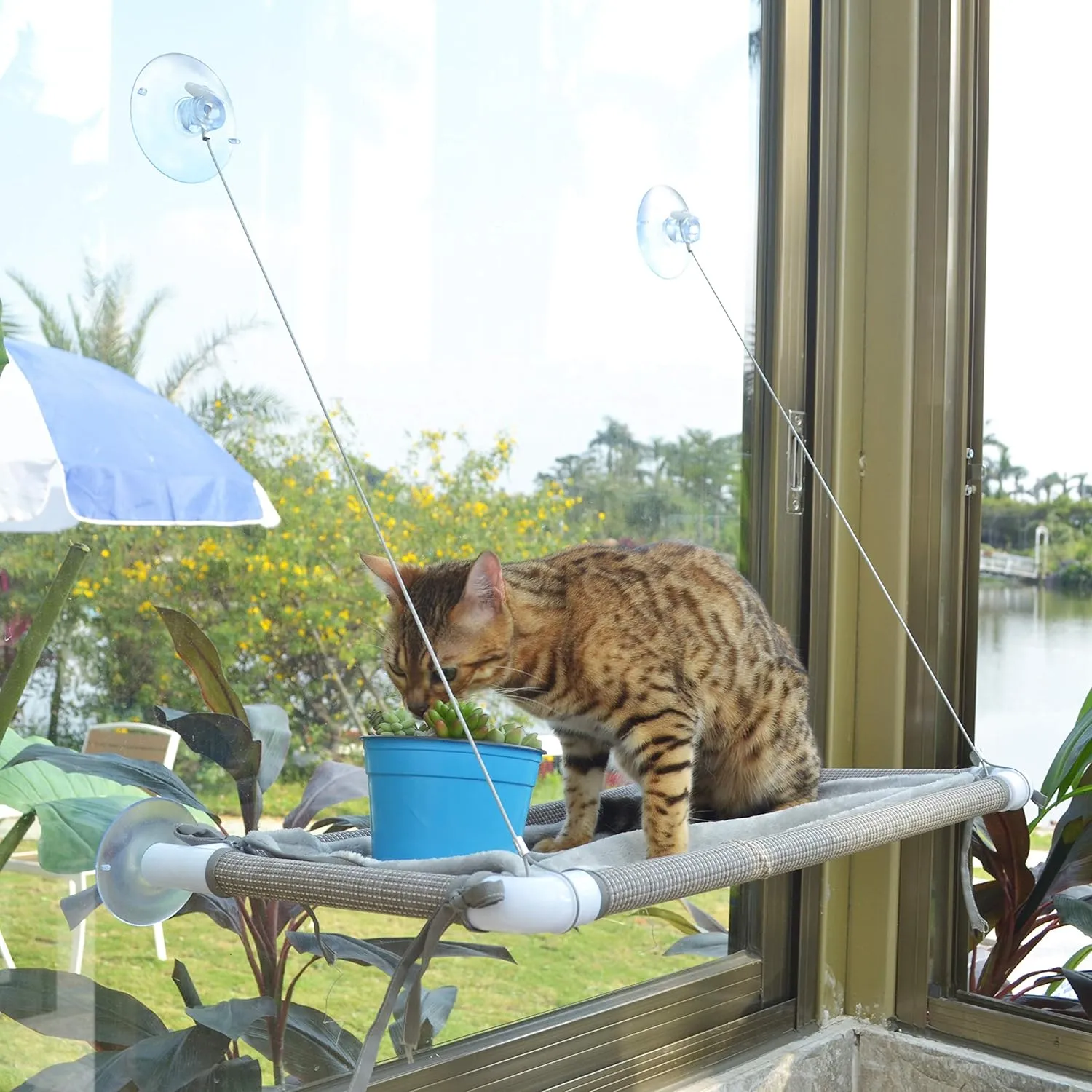 Mess-Free Window Perch, Secure Fastening Cat Hammock with 4 Strong Suction Cups, Premium Reinforced Material and Flannel Cover for Large Cats in Beige