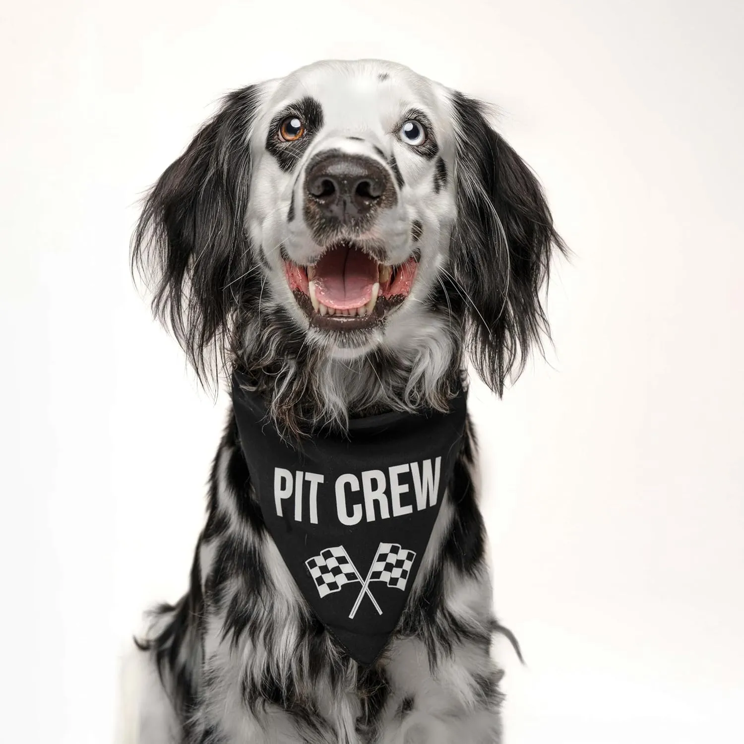 Pit Crew Dog Bandana | 100% Cotton Triangle | Made in USA | Birthday Pawty | Party Theme | Car Racing | Fast Lane | Photoshoot Prop | Girl Boy | Navy, X-Small (49)