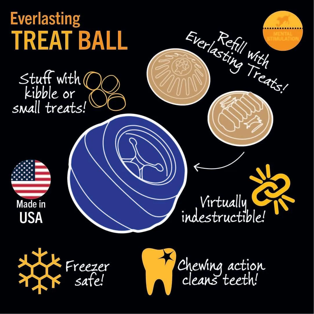 Starmark Everlasting Treat Ball Large with 1 treat