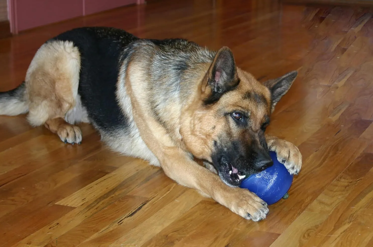 Starmark Everlasting Treat Ball Large with 1 treat