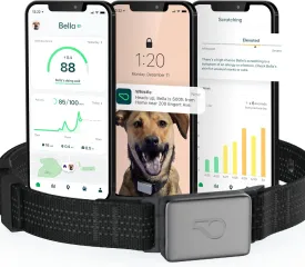 Whistle Switch GPS   Health   Fitness Smart Dog Collar, 24/7 Dog GPS Tracker Plus Dog Health & Fitness Monitor, Sleek Design, Waterproof, 2 Rechargeable Batteries, for Dogs 5lbs and up (Black) XS/S