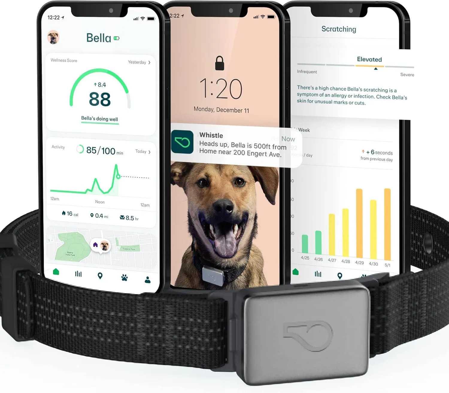 Whistle Switch GPS   Health   Fitness Smart Dog Collar, 24/7 Dog GPS Tracker Plus Dog Health & Fitness Monitor, Sleek Design, Waterproof, 2 Rechargeable Batteries, for Dogs 5lbs and up (Black) XS/S